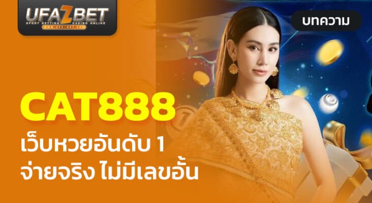 cat888